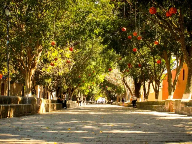 Calzada Fray Antonio de san Miguel