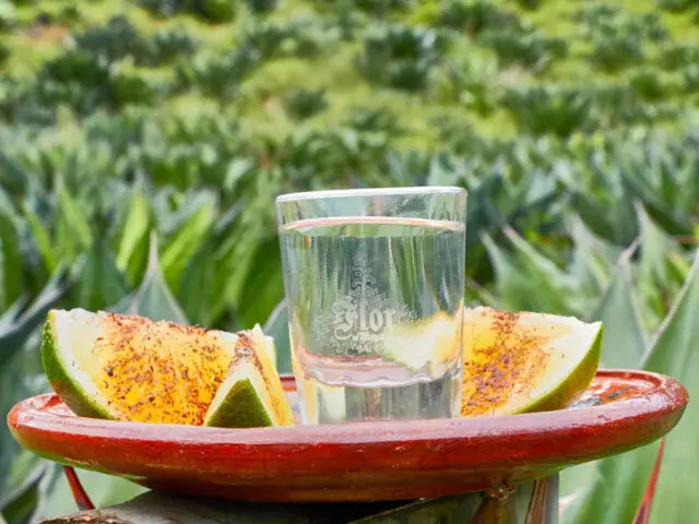 Ruta de las Destilerías Ancestrales