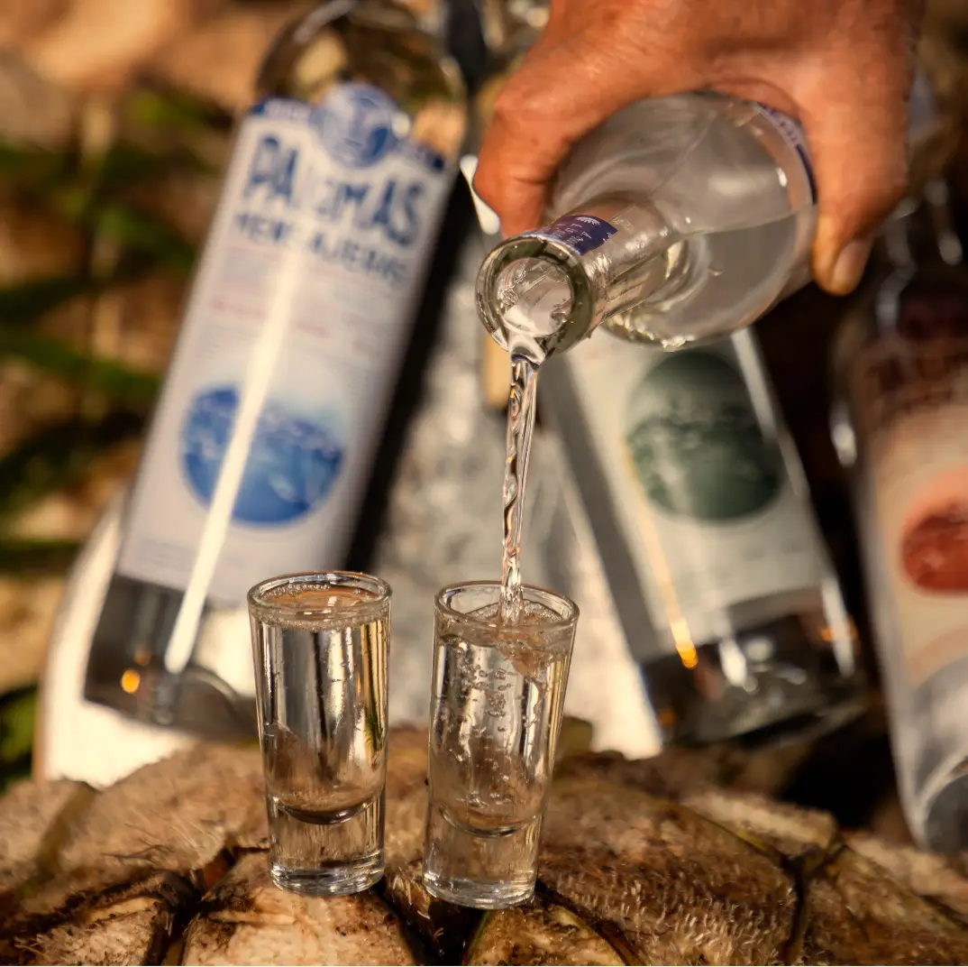 Vinatas Artesanales de Oponguio