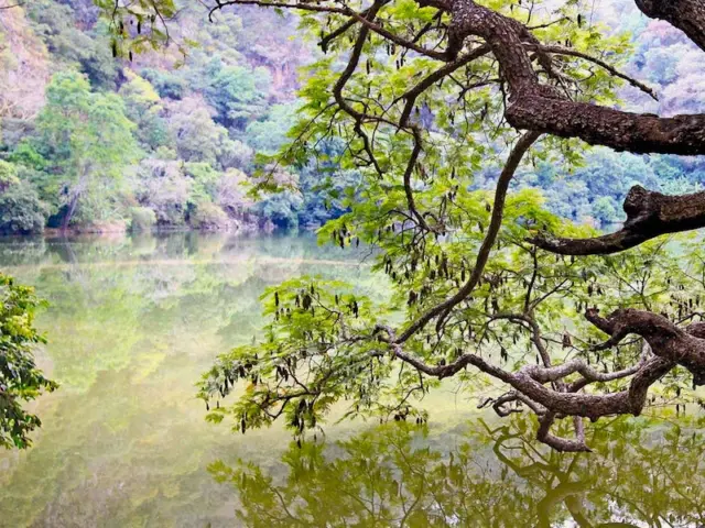 La alberca de Tacámbaro