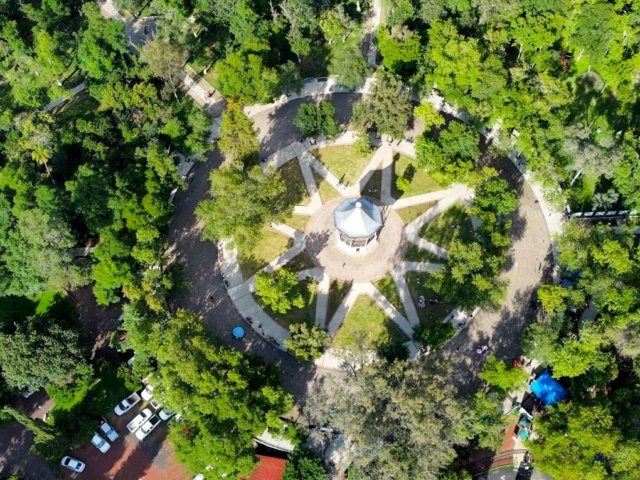 Bosque Cuauhtémoc