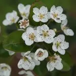 Hotel en Pátzcuaro - Villa Pátzcuaro