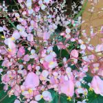 Hotel en Pátzcuaro - Villa Pátzcuaro