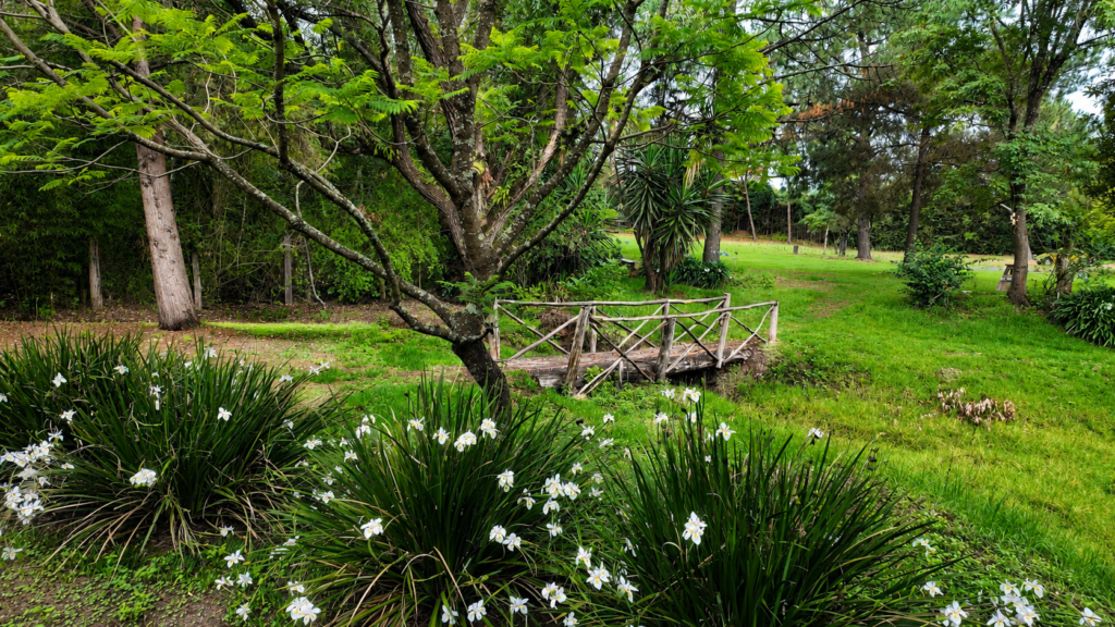 Experiencias Villa Pátzcuaro